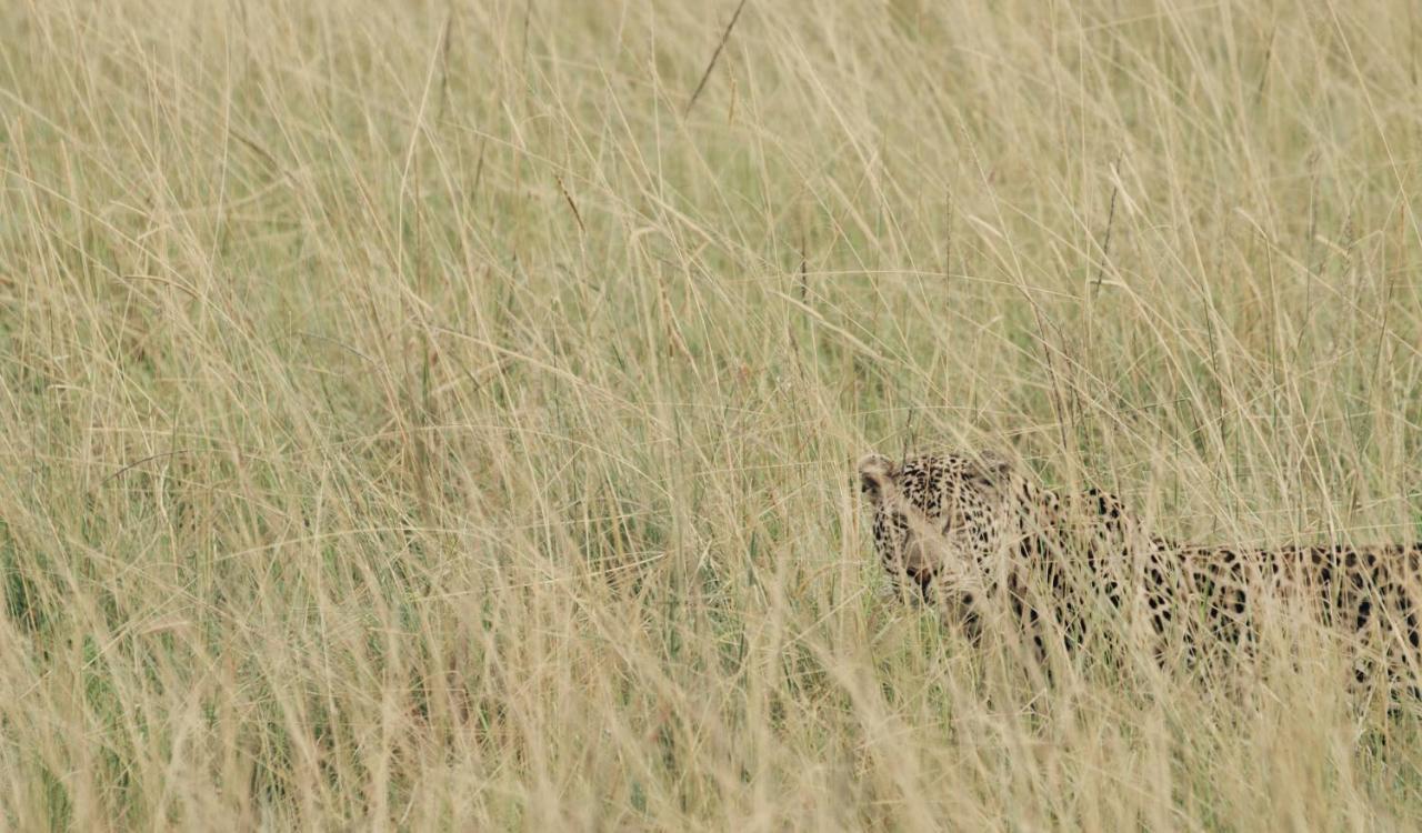 Ololo Safari Lodge Nairobi Eksteriør bilde